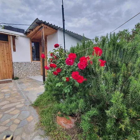 Doukas By The Sea-little Paradise-beachfront Daire Skála Marión