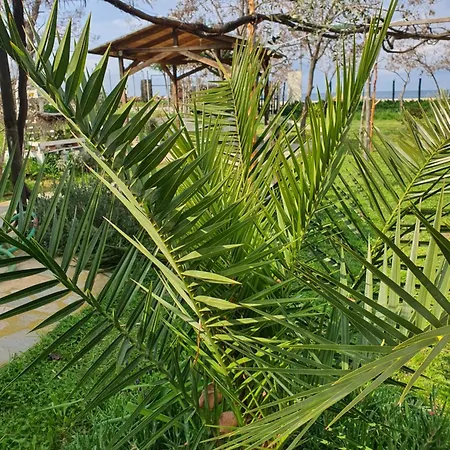 Doukas By The Sea-little Paradise-beachfront * Skála Marión
