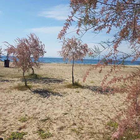 Daire Doukas By The Sea-little Paradise-beachfront