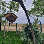 Doukas By The Sea-little Paradise-beachfront * Skála Marión