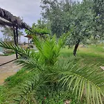 公寓 Doukas By The Sea-little Paradise-beachfront