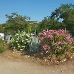 Doukas By The Sea-little Paradise-beachfront 公寓 *