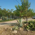 Doukas By The Sea-little Paradise-beachfront 公寓 *