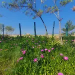 公寓 Doukas By The Sea-little Paradise-beachfront *