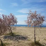 Doukas By The Sea-little Paradise-beachfront 公寓 *