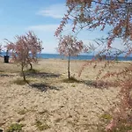 公寓 Doukas By The Sea-little Paradise-beachfront