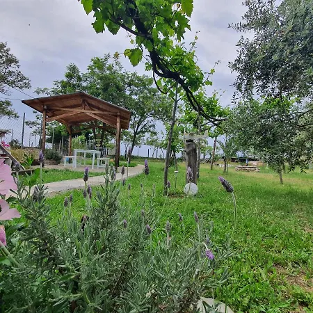 Doukas By The Sea-little Paradise-beachfront Apartment Skala Marion