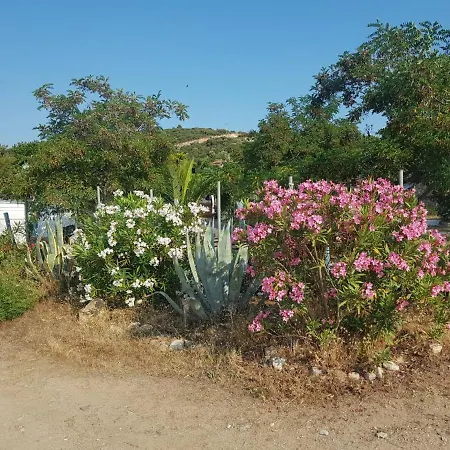 Doukas By The Sea-little Paradise-beachfront 公寓 *