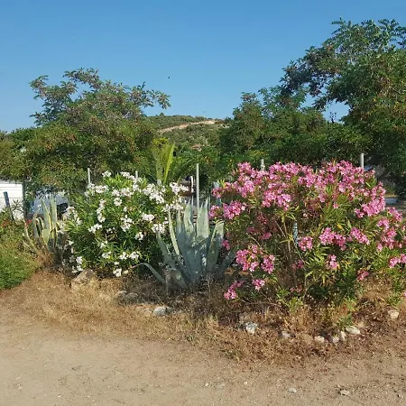 Doukas By The Sea-little Paradise-beachfront Apartment *