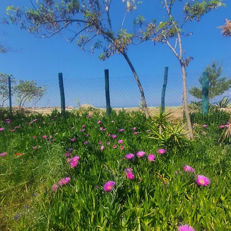 Apartment Doukas By The Sea-little Paradise-beachfront *