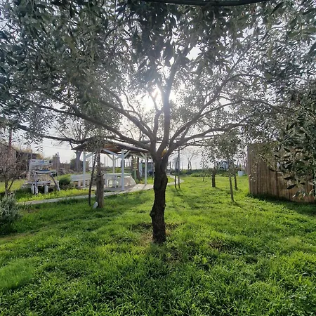 Apartment Doukas By The Sea-little Paradise-beachfront *