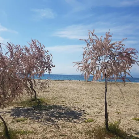 Doukas By The Sea-little Paradise-beachfront Apartament *