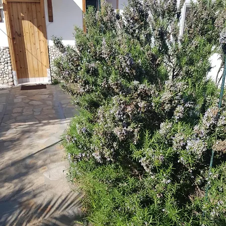 Doukas By The Sea-little Paradise-beachfront * Skala Marion