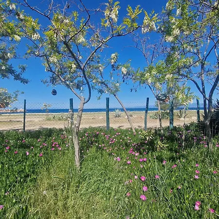 Apartment Doukas By The Sea-little Paradise-beachfront