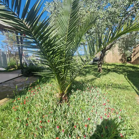 Doukas By The Sea-little Paradise-beachfront Apartment Skala Marion