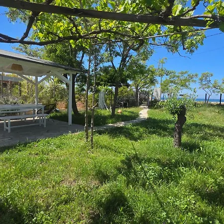 Doukas By The Sea-little Paradise-beachfront Apartment *