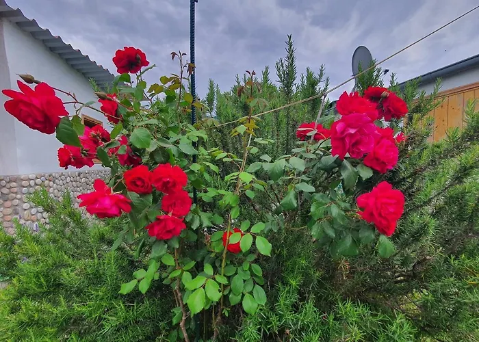 Doukas By The Sea-little Paradise-beachfront * Skála Marión