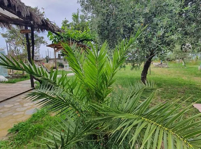 Apartament Doukas By The Sea-little Paradise-beachfront