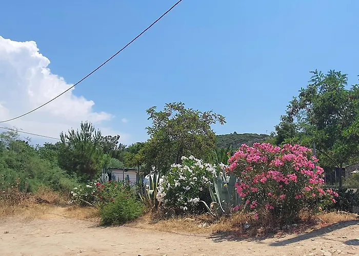 Doukas By The Sea-little Paradise-beachfront *