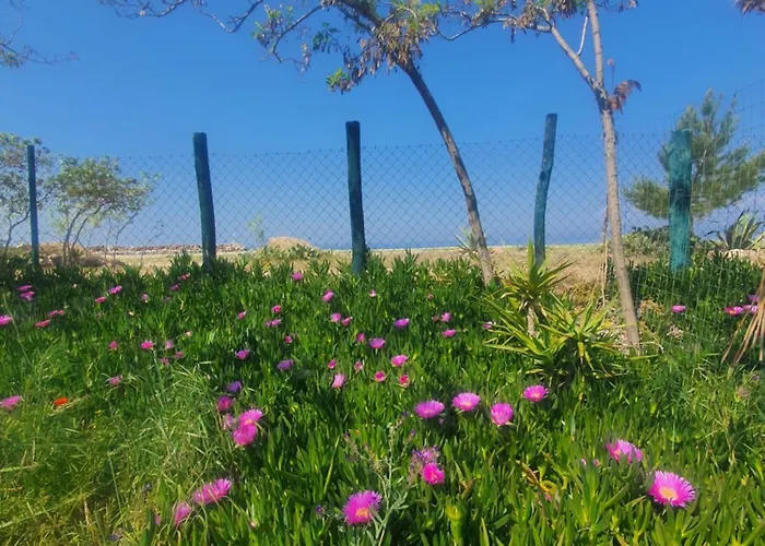 Appartamento Doukas By The Sea-little Paradise-beachfront *