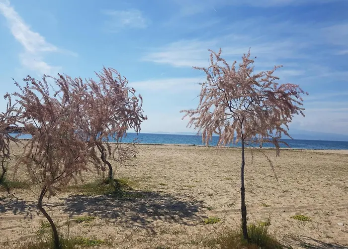 Doukas By The Sea-little Paradise-beachfront Apartamento *
