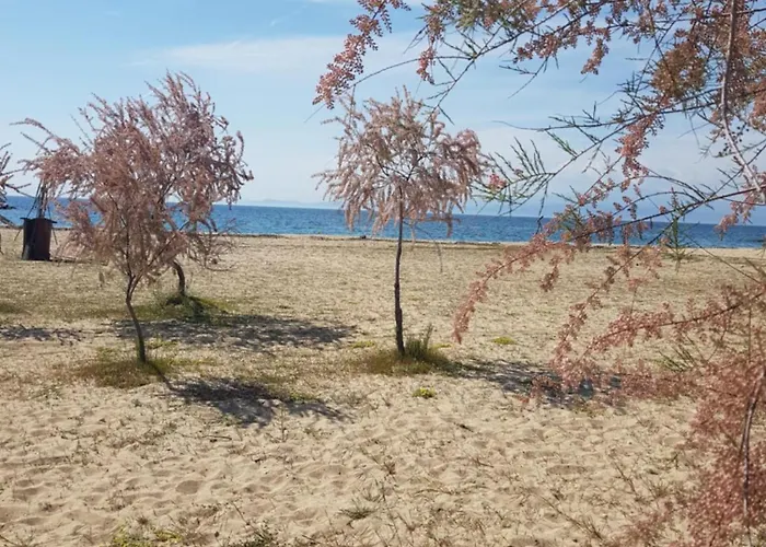 Apartamento Doukas By The Sea-little Paradise-beachfront